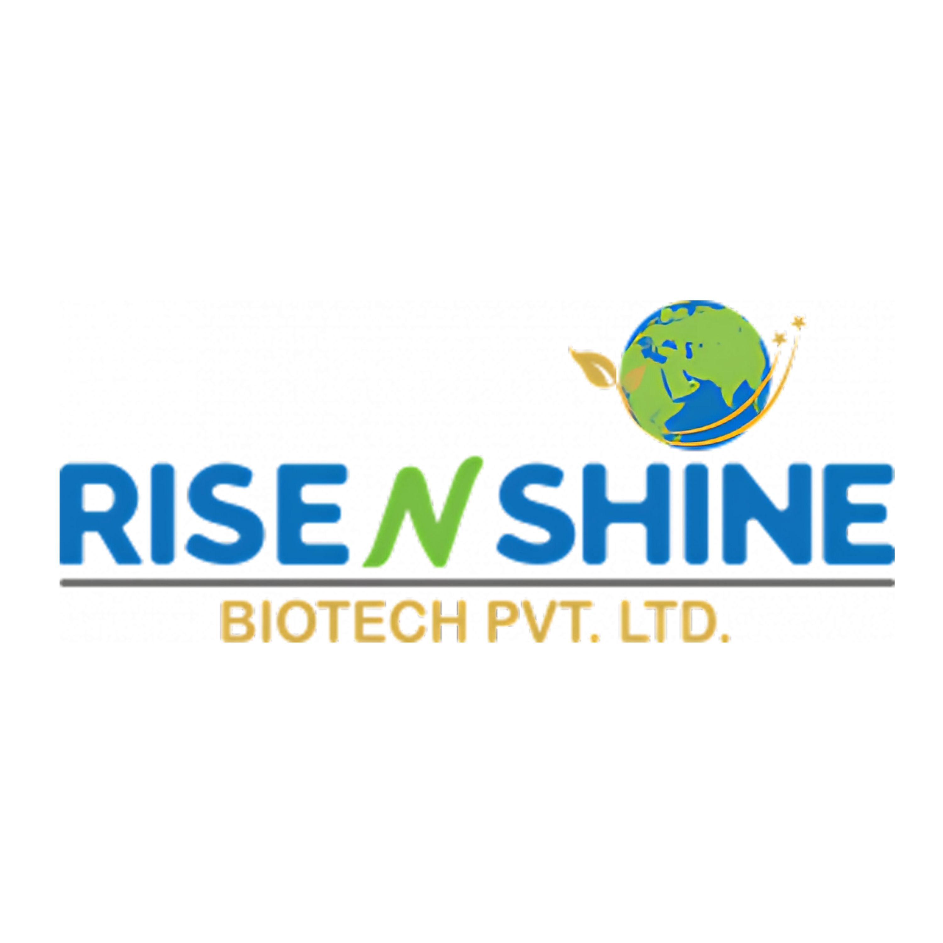Rise N Shine logo